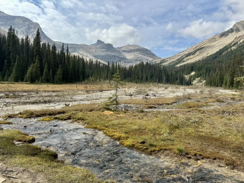 View from ACC Hut