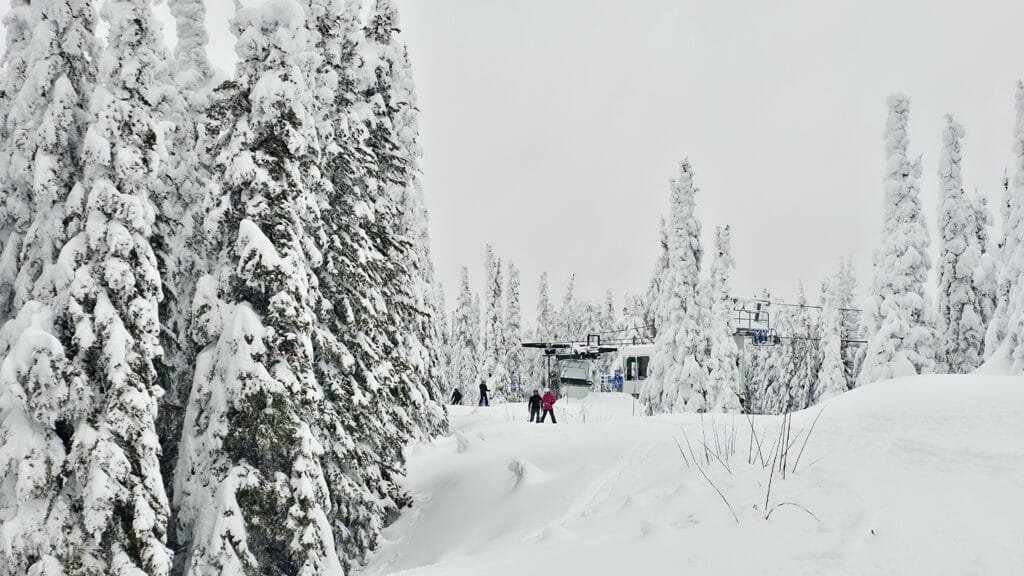 银星山越野滑雪