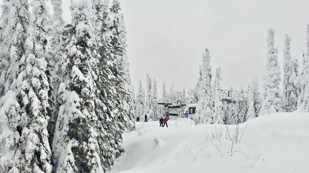 银星山越野滑雪