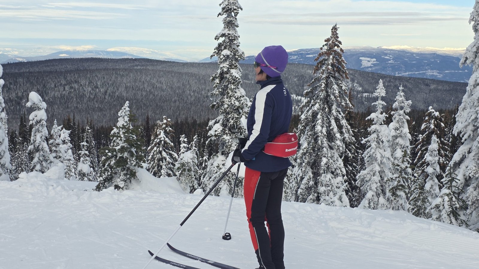 Shuswap Lookout at Silverstar Mountain Resort - 越野滑雪费用