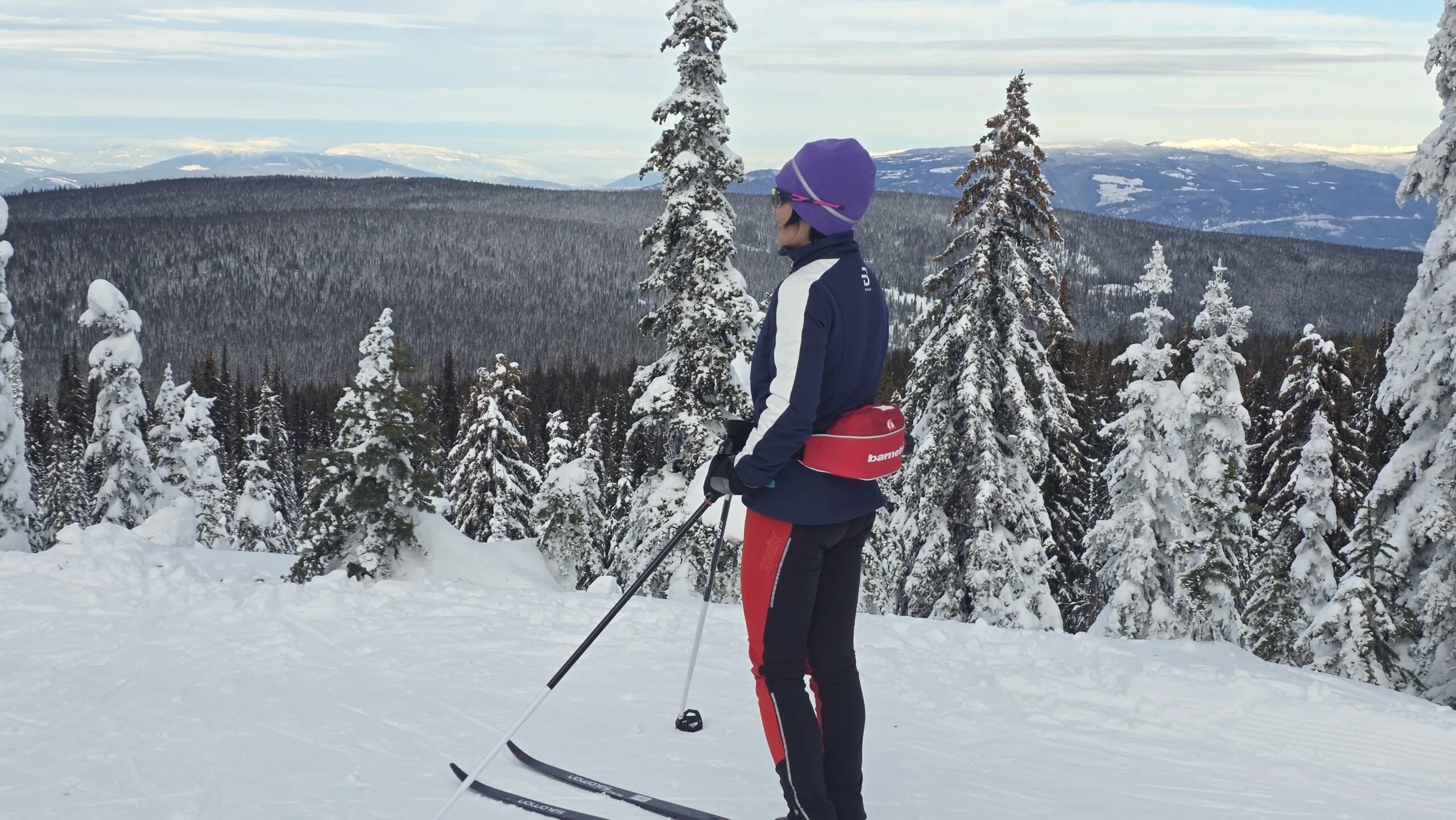 Shuswap Lookout at Silverstar Mountain Resort - 越野滑雪费用