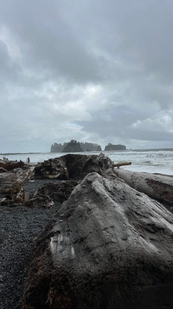 俄勒冈海岸-美国奥林匹克国家公园 -  Rialto Beach
