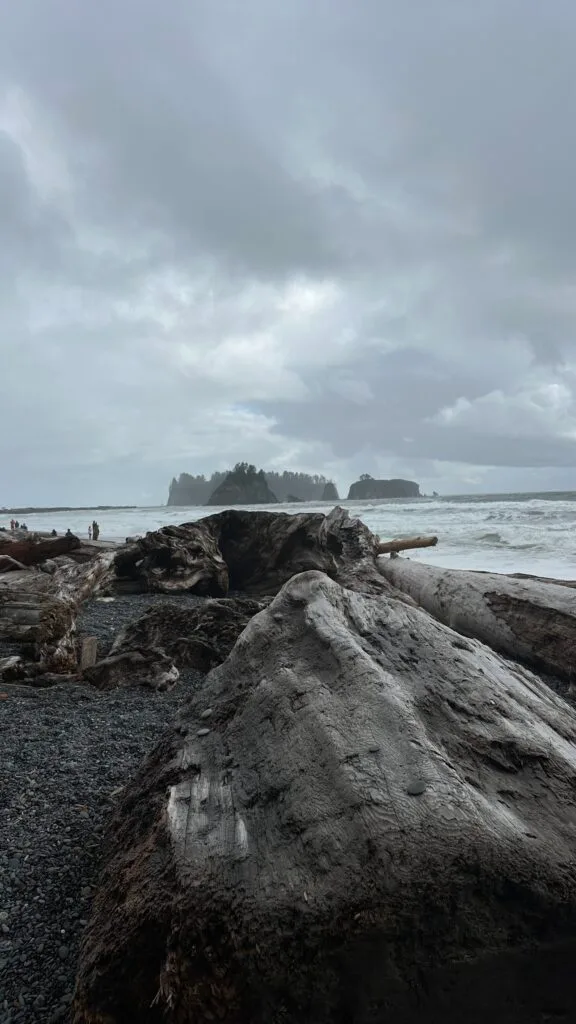俄勒冈海岸-美国奥林匹克国家公园 -  Rialto Beach
