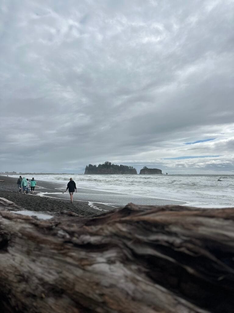 俄勒冈海岸-美国奥林匹克国家公园 -  Rialto Beach
