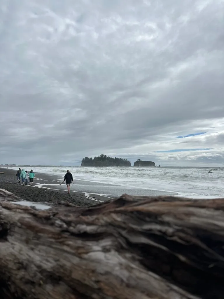 俄勒冈海岸-美国奥林匹克国家公园 -  Rialto Beach