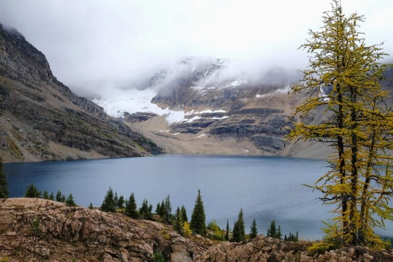 Lake McArthur 徒步