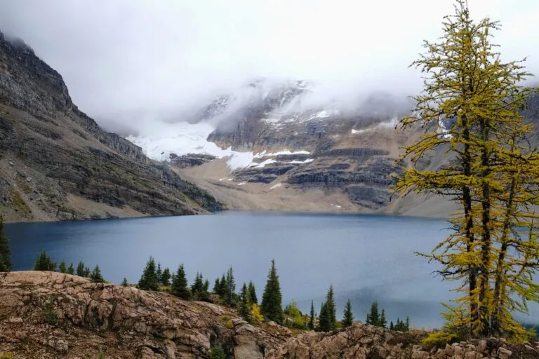 Lake McArthur 徒步