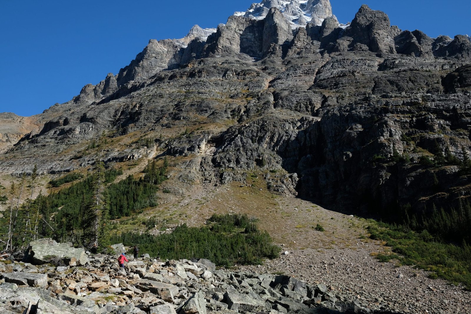 Lake O'Hara and Lake Oesa