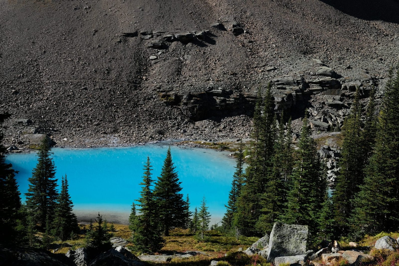 Schaffer Lake