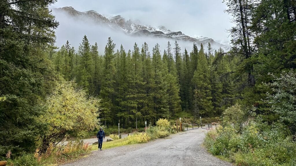 Lake O'Hara 露营的停车场