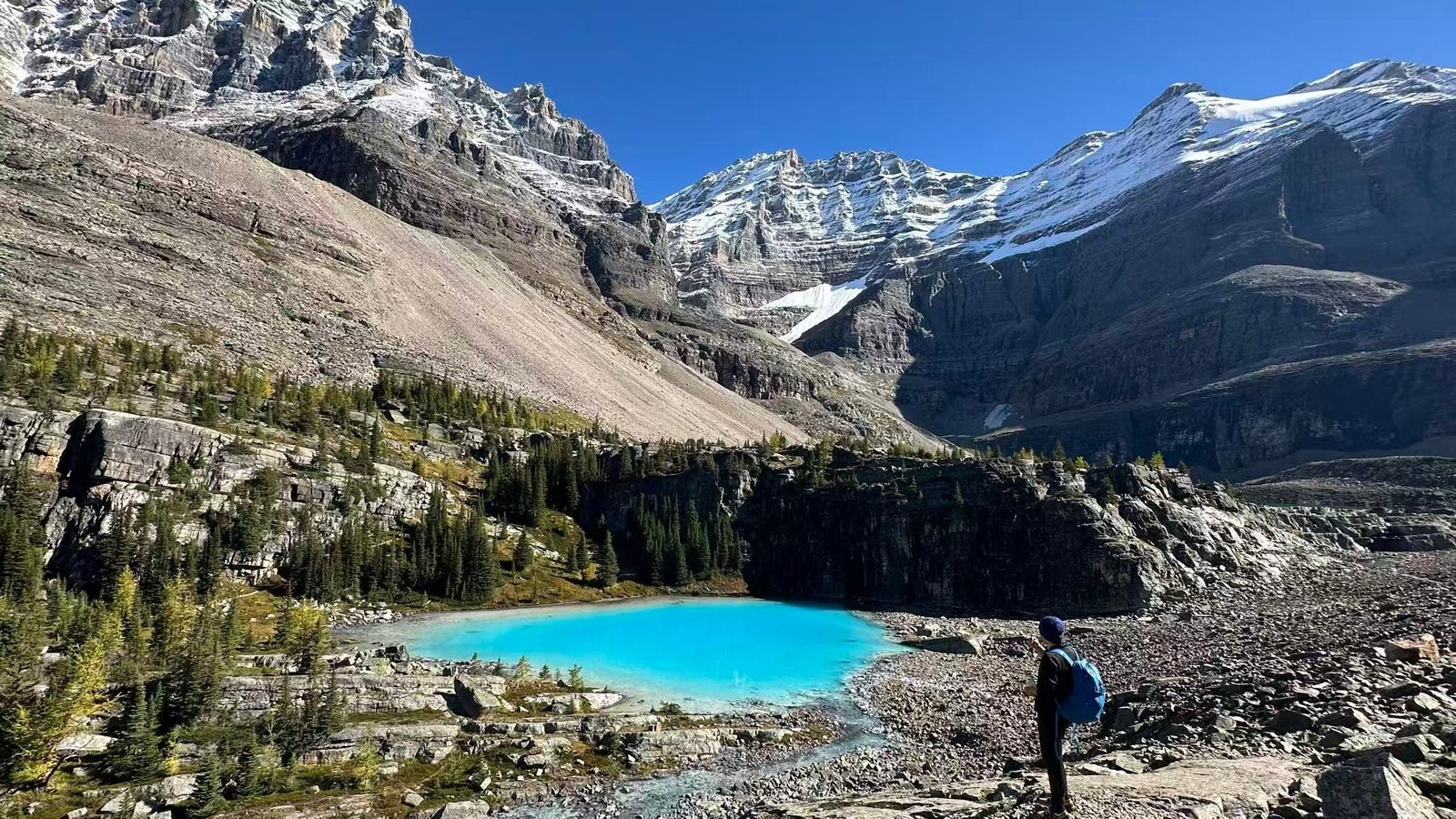 Lake O'Hara 露营之Lefroy Lake