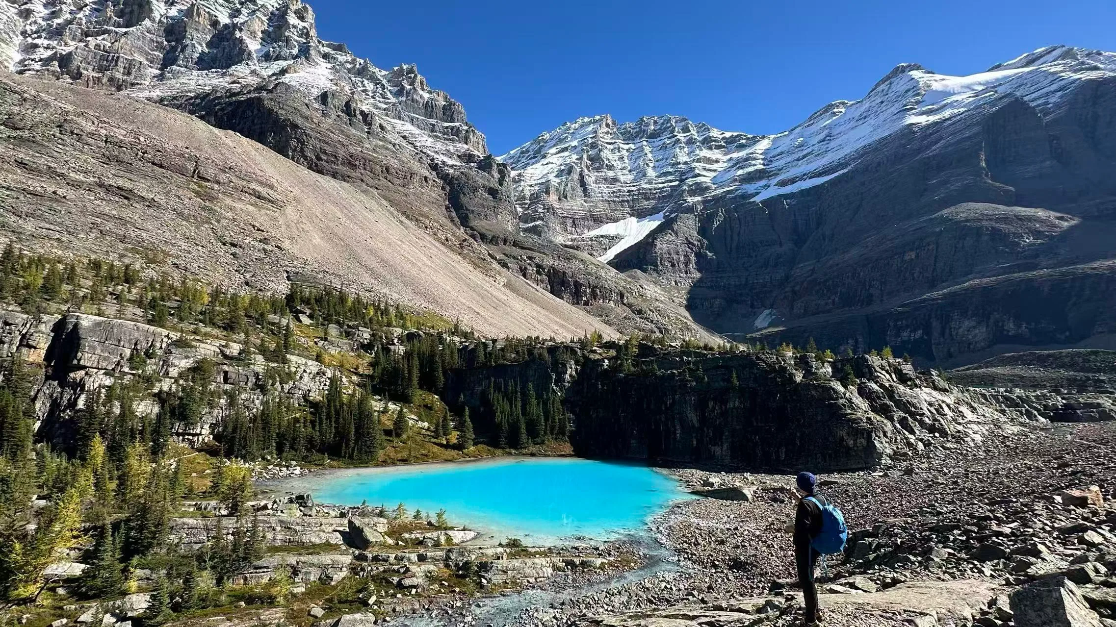 Lake O'Hara 露营之Lefroy Lake