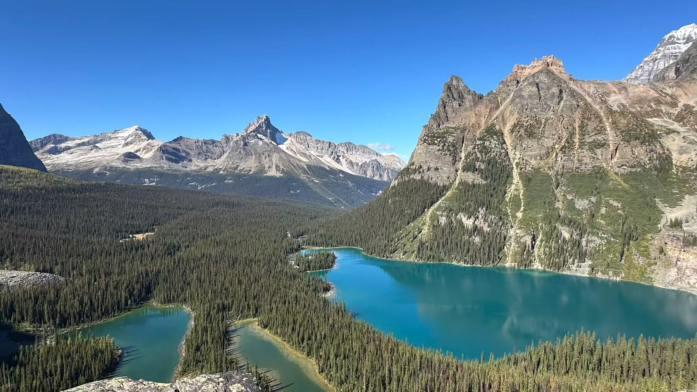 Lake O'Hara 露营