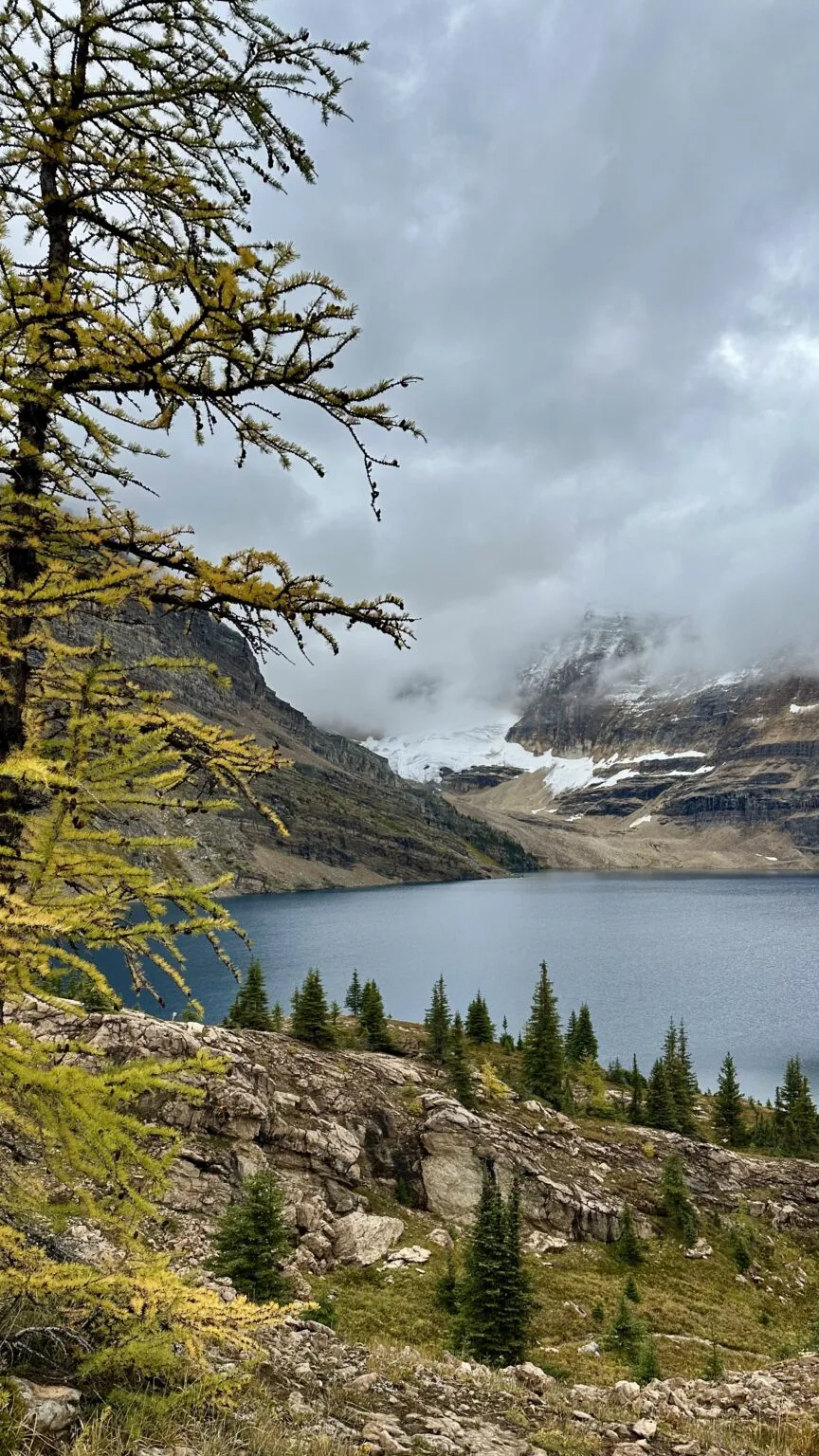 Lake McArthur and glacier