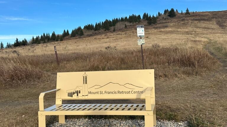 Bench on the trail of Big Hill Cochrane