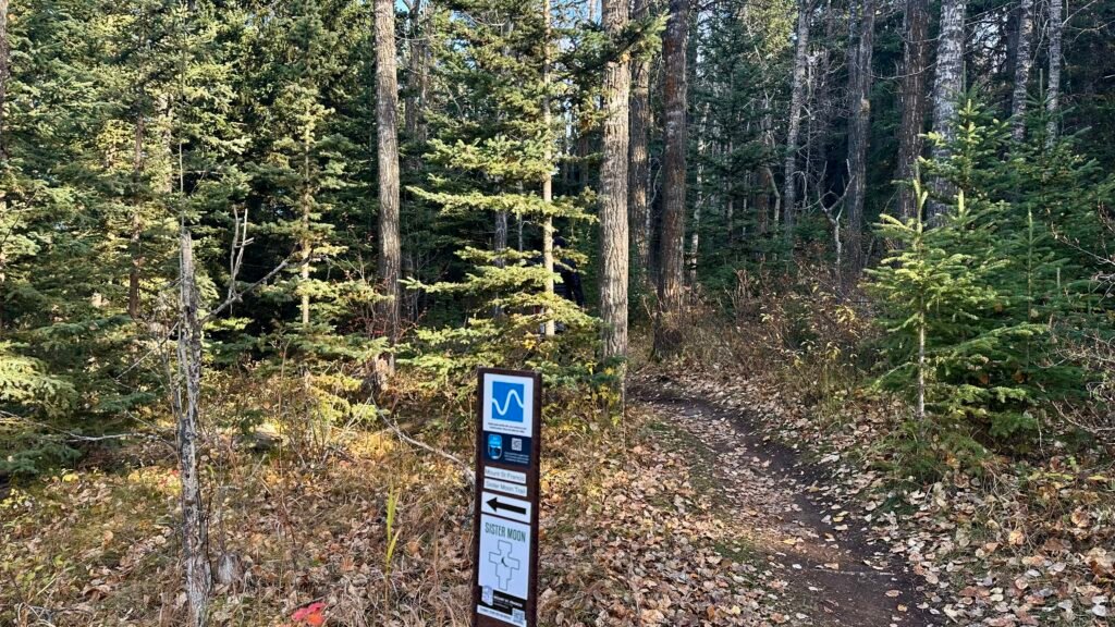 Big Hill Cochrane Sister Moon trail