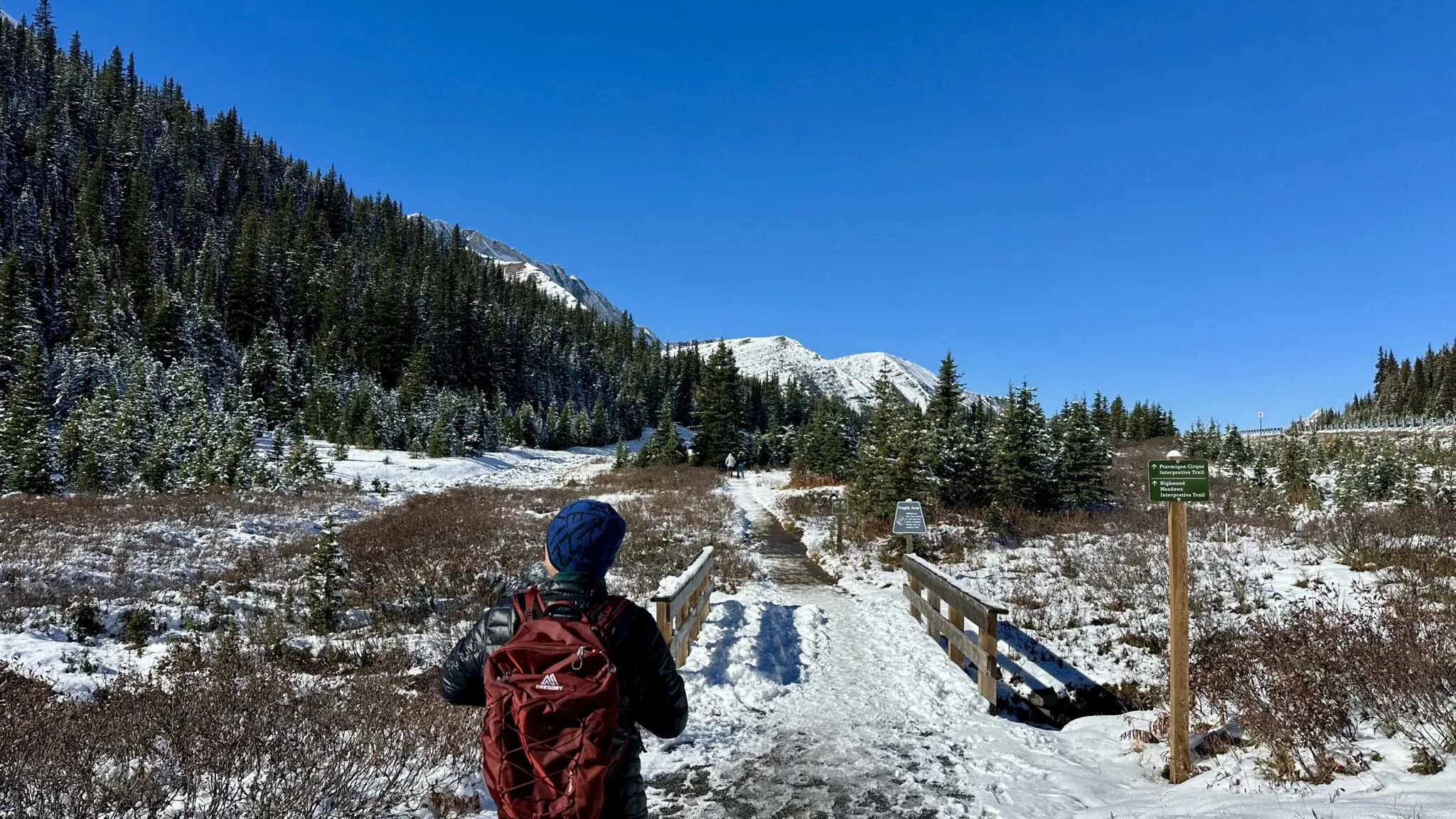 Tom leaves parking lot and walks on Highwood Meadows to the trailhead of Ptarmigan Cirque
