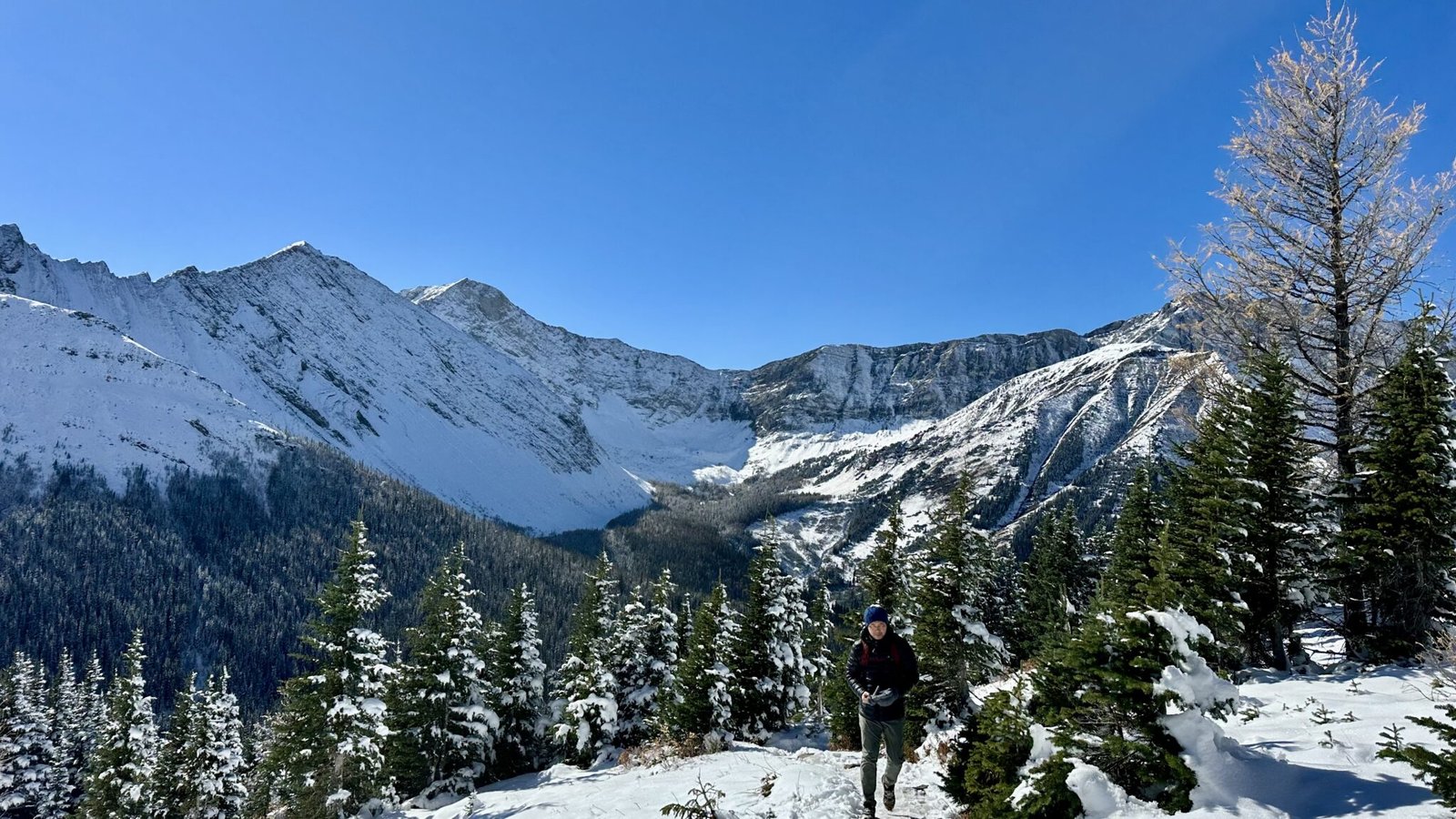 Tom on Ptarmigan Cirque trail 
