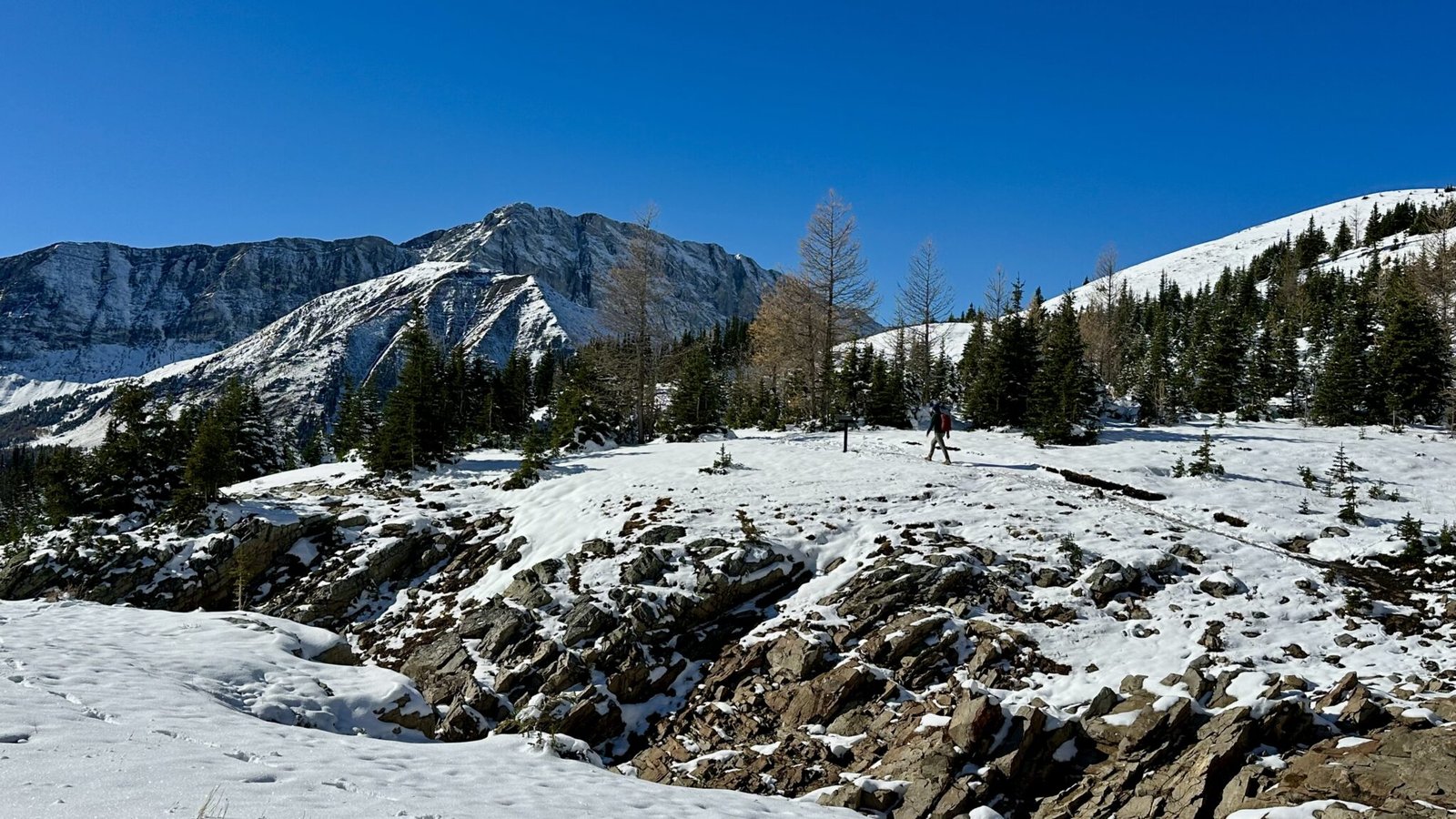 East side of Ptamigan Cirque trail