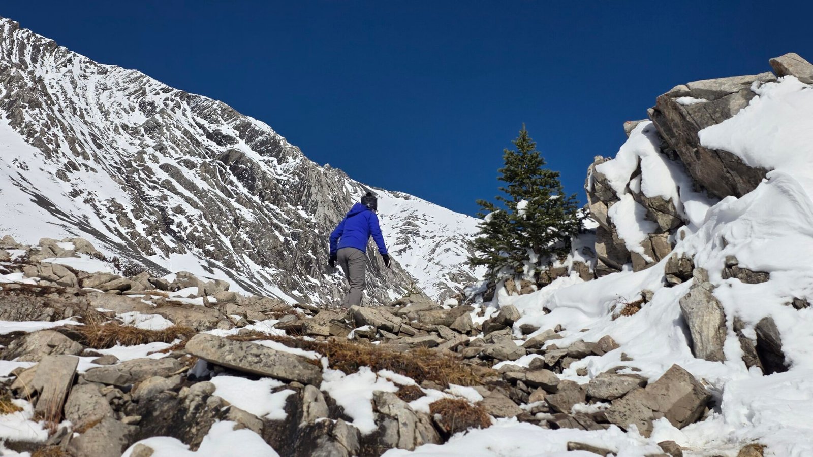 Lisa is hiking on Ptarmigan Cirque trail